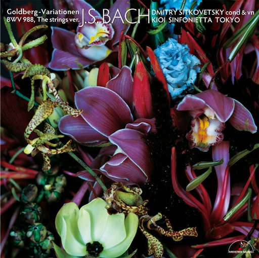 男男被多人伦㢨系列H
